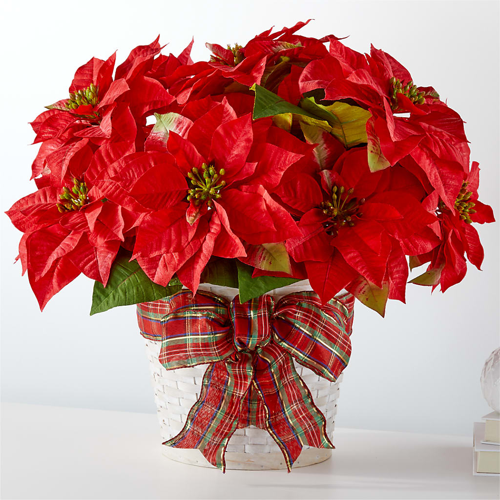 Happiest Holidays Poinsettia – TOWN CENTER FLORIST & GIFTS INC, Orlando FL