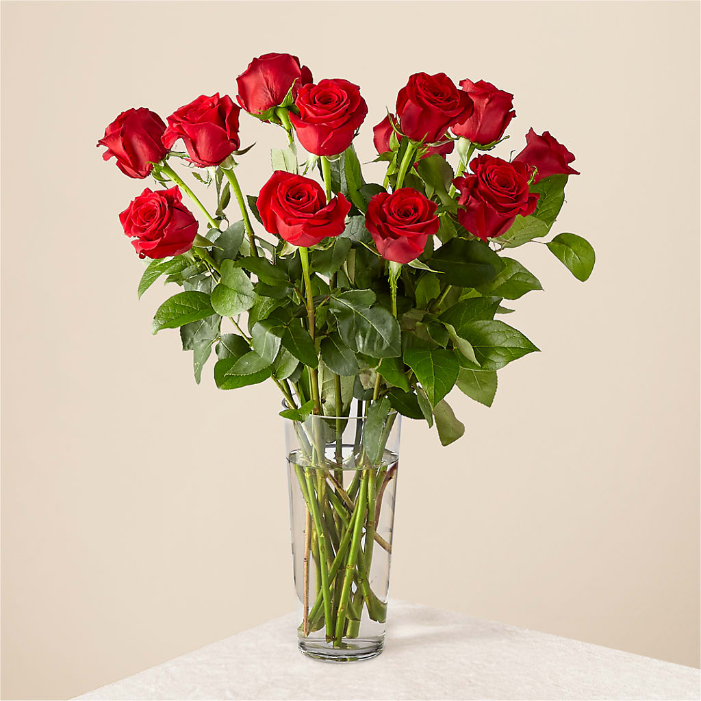 Long Stem Red Rose Bouquet – TOWN CENTER FLORIST & GIFTS INC, Orlando FL