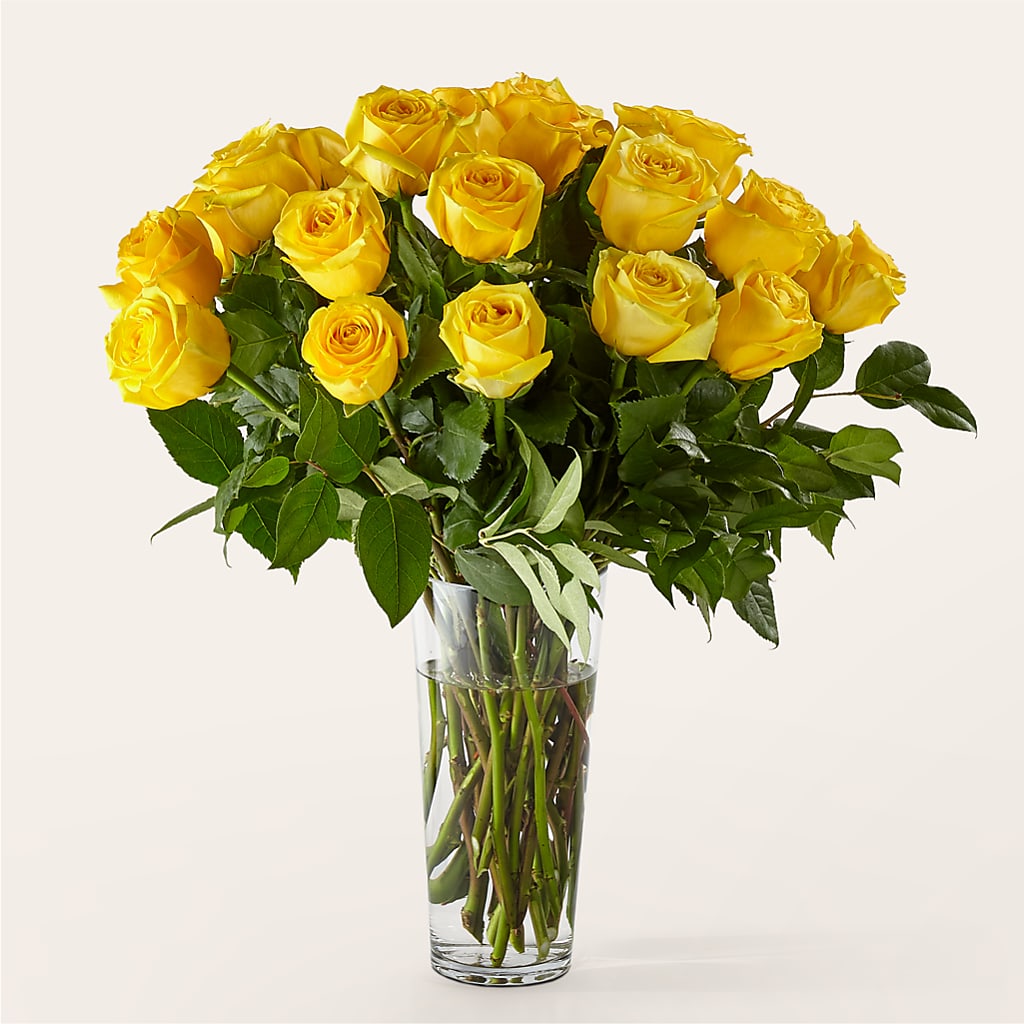 Long Stem Yellow Rose Bouquet – TOWN CENTER FLORIST & GIFTS INC, Orlando FL