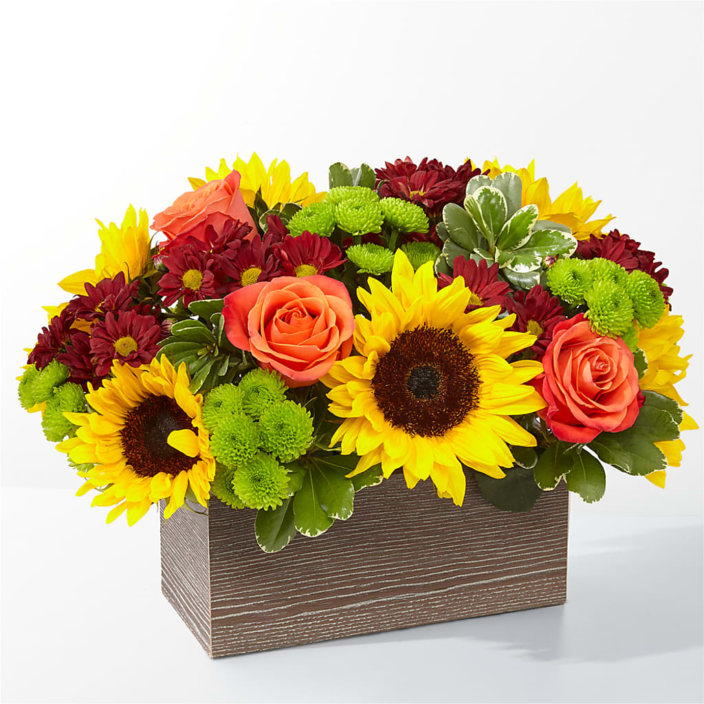 Happy Harvest Garden – TOWN CENTER FLORIST & GIFTS INC, Orlando FL