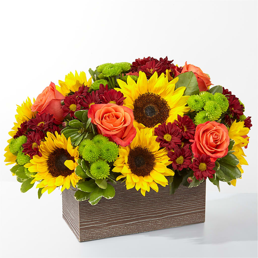 Happy Harvest Garden – TOWN CENTER FLORIST & GIFTS INC, Orlando FL