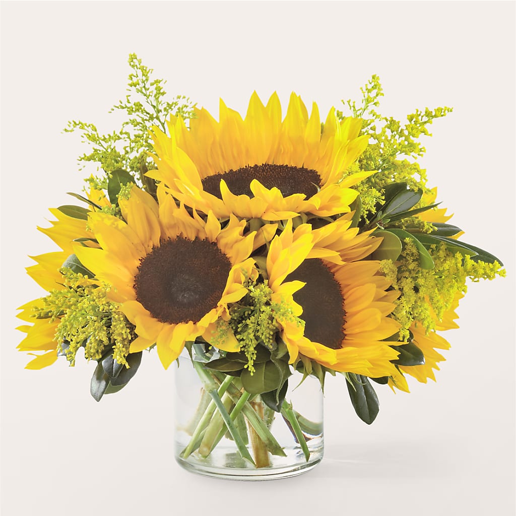 Beaming Sunflower Bouquet – TOWN CENTER FLORIST & GIFTS INC, Orlando FL