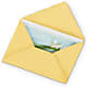 Greeting Card – TOWN CENTER FLORIST & GIFTS INC, Orlando FL