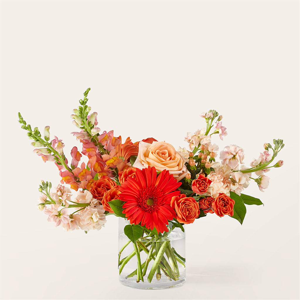 Paloma Please Bouquet – TOWN CENTER FLORIST & GIFTS INC, Orlando FL