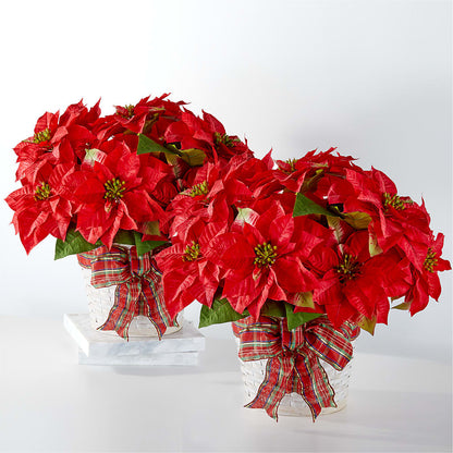 Happiest Holidays Poinsettia Bundle – TOWN CENTER FLORIST & GIFTS INC, Orlando FL