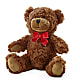 Adorable Plush Bear – TOWN CENTER FLORIST & GIFTS INC, Orlando FL