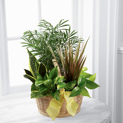 French Garden – TOWN CENTER FLORIST & GIFTS INC, Orlando FL