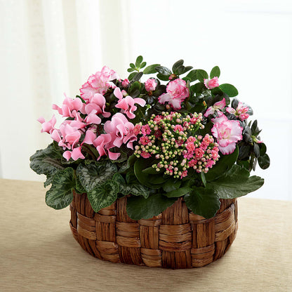 Pink Assortment – TOWN CENTER FLORIST & GIFTS INC, Orlando FL