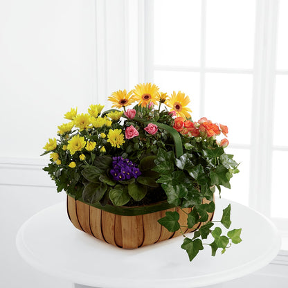 Gentle Blossoms Basket – TOWN CENTER FLORIST & GIFTS INC, Orlando FL