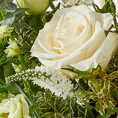 Cashmere Bouquet – TOWN CENTER FLORIST & GIFTS INC, Orlando FL