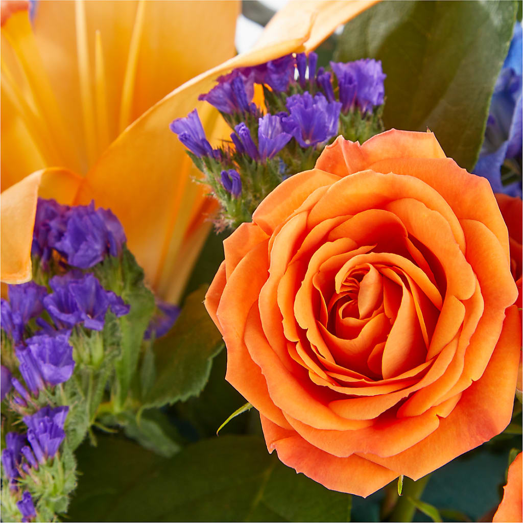 Radiant Citrus Box Bouquet – TOWN CENTER FLORIST & GIFTS INC, Orlando FL