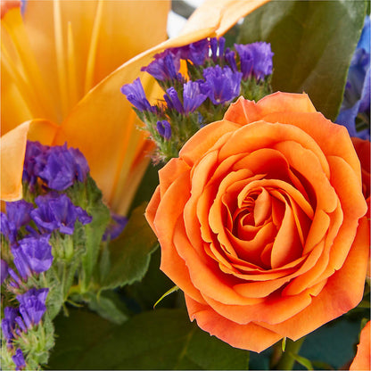 Radiant Citrus Box Bouquet – TOWN CENTER FLORIST & GIFTS INC, Orlando FL
