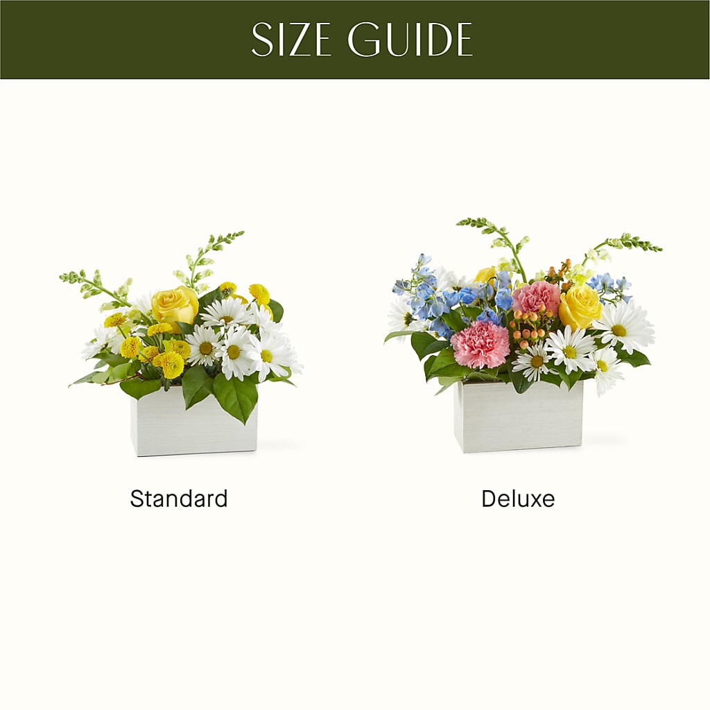 Sun Salutation Box Bouquet – TOWN CENTER FLORIST & GIFTS INC, Orlando FL