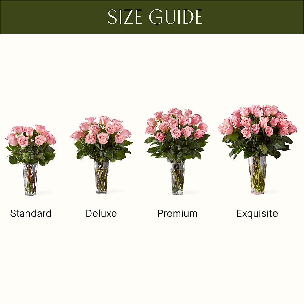 Long Stem Pink Rose Bouquet – TOWN CENTER FLORIST & GIFTS INC, Orlando FL