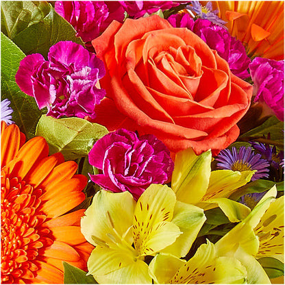 Tricks & Treats Pumpkin – TOWN CENTER FLORIST & GIFTS INC, Orlando FL