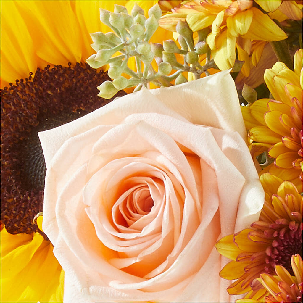 Pumpkin to Talk About Bouquet – TOWN CENTER FLORIST & GIFTS INC, Orlando FL