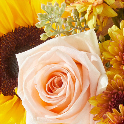 Pumpkin to Talk About Bouquet – TOWN CENTER FLORIST & GIFTS INC, Orlando FL