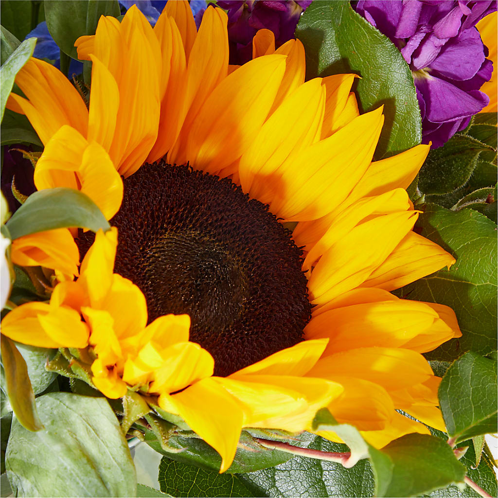 Catching Rays Bouquet – TOWN CENTER FLORIST & GIFTS INC, Orlando FL