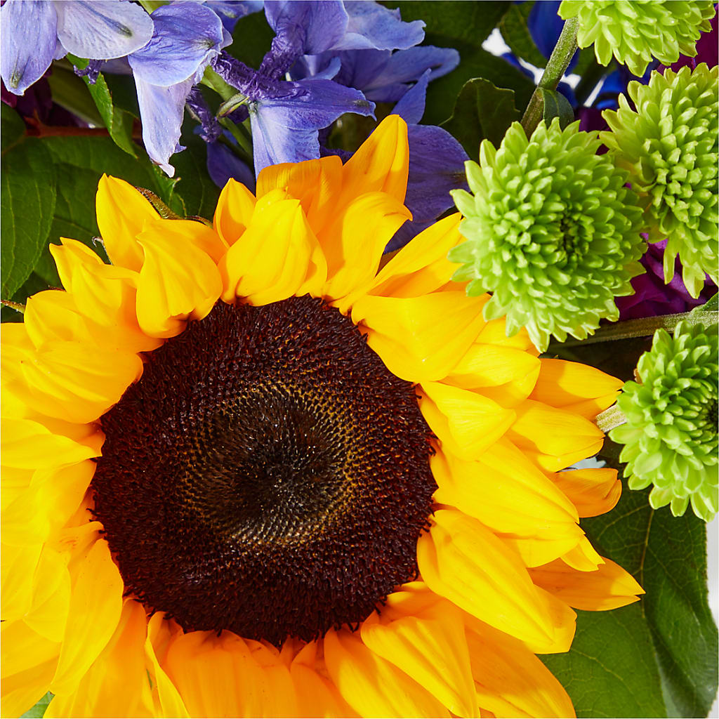 Catching Rays Bouquet – TOWN CENTER FLORIST & GIFTS INC, Orlando FL