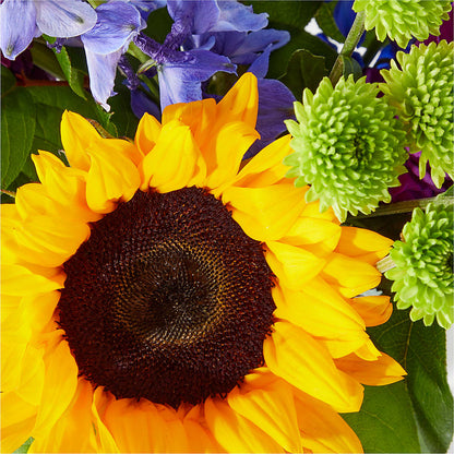 Catching Rays Bouquet – TOWN CENTER FLORIST & GIFTS INC, Orlando FL