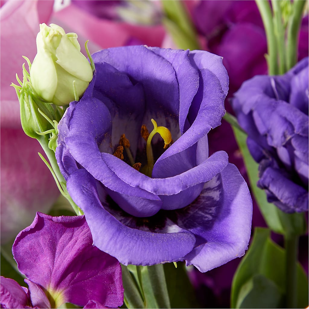 Twilight Glow Bouquet – TOWN CENTER FLORIST & GIFTS INC, Orlando FL