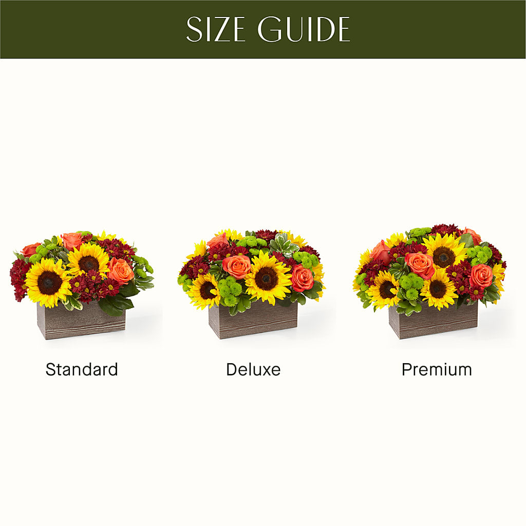 Happy Harvest Garden – TOWN CENTER FLORIST & GIFTS INC, Orlando FL