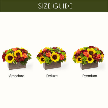 Happy Harvest Garden – TOWN CENTER FLORIST & GIFTS INC, Orlando FL