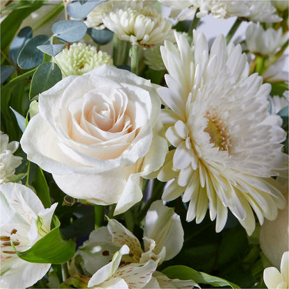 New Beginnings – A Florist Original – TOWN CENTER FLORIST & GIFTS INC, Orlando FL