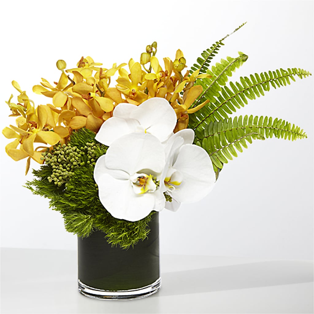 The Tropics – TOWN CENTER FLORIST & GIFTS INC, Orlando FL
