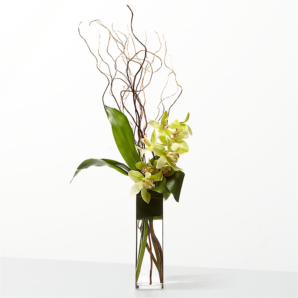 The Statement – TOWN CENTER FLORIST & GIFTS INC, Orlando FL