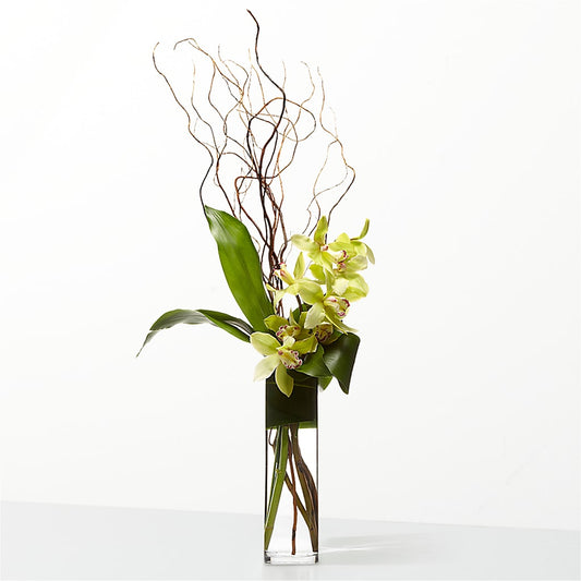 The Statement – TOWN CENTER FLORIST & GIFTS INC, Orlando FL