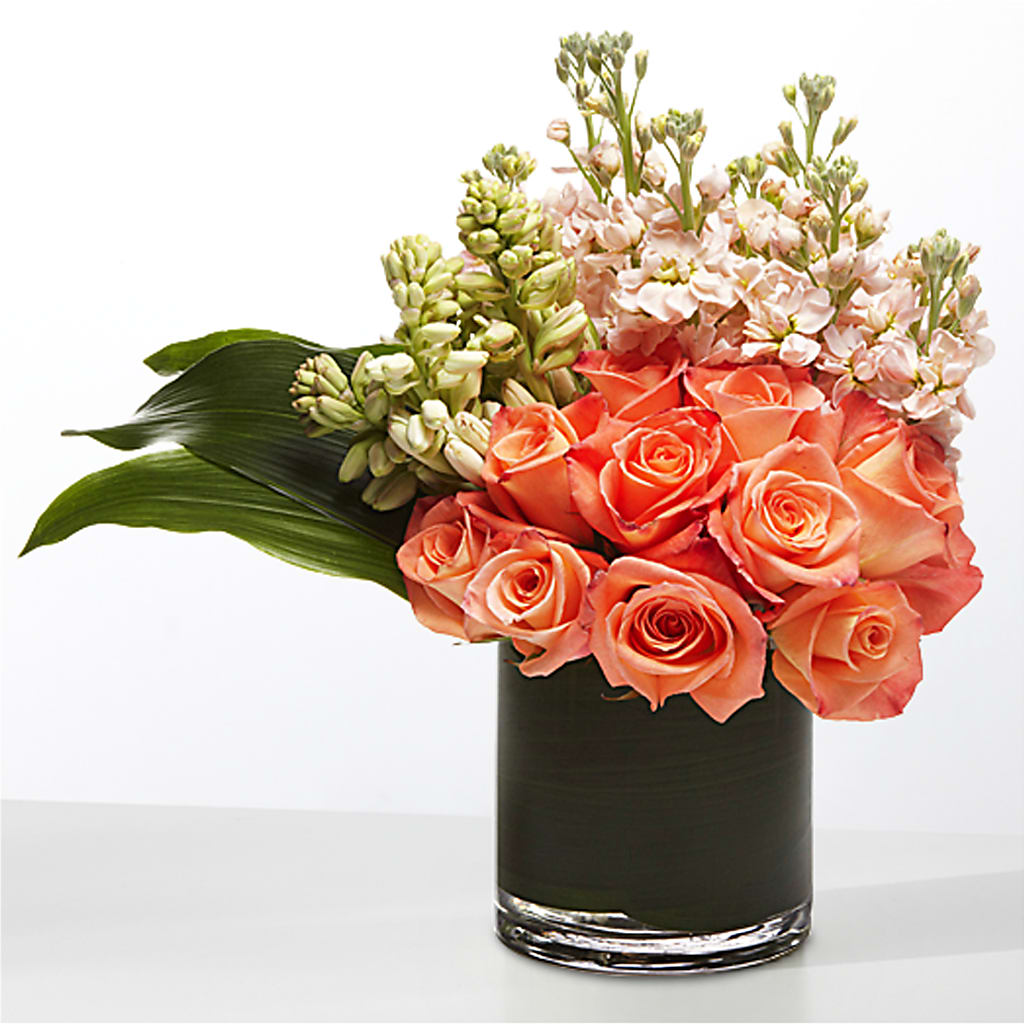 The Moment – TOWN CENTER FLORIST & GIFTS INC, Orlando FL