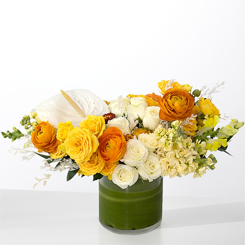 The Optimist – TOWN CENTER FLORIST & GIFTS INC, Orlando FL