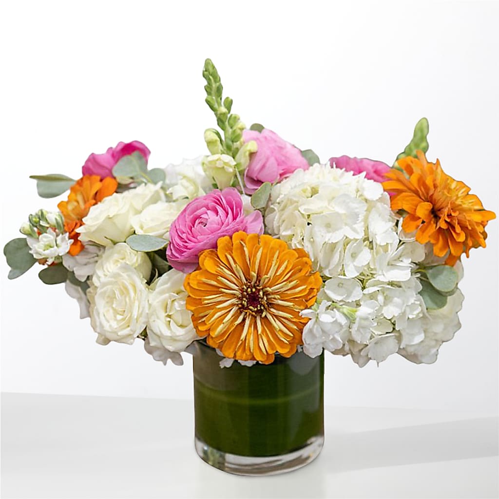 The Meet Cute – TOWN CENTER FLORIST & GIFTS INC, Orlando FL