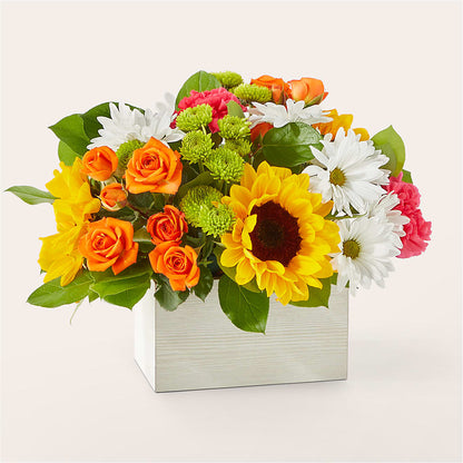 Sun-drenched Blooms Box Bouquet – TOWN CENTER FLORIST & GIFTS INC, Orlando FL