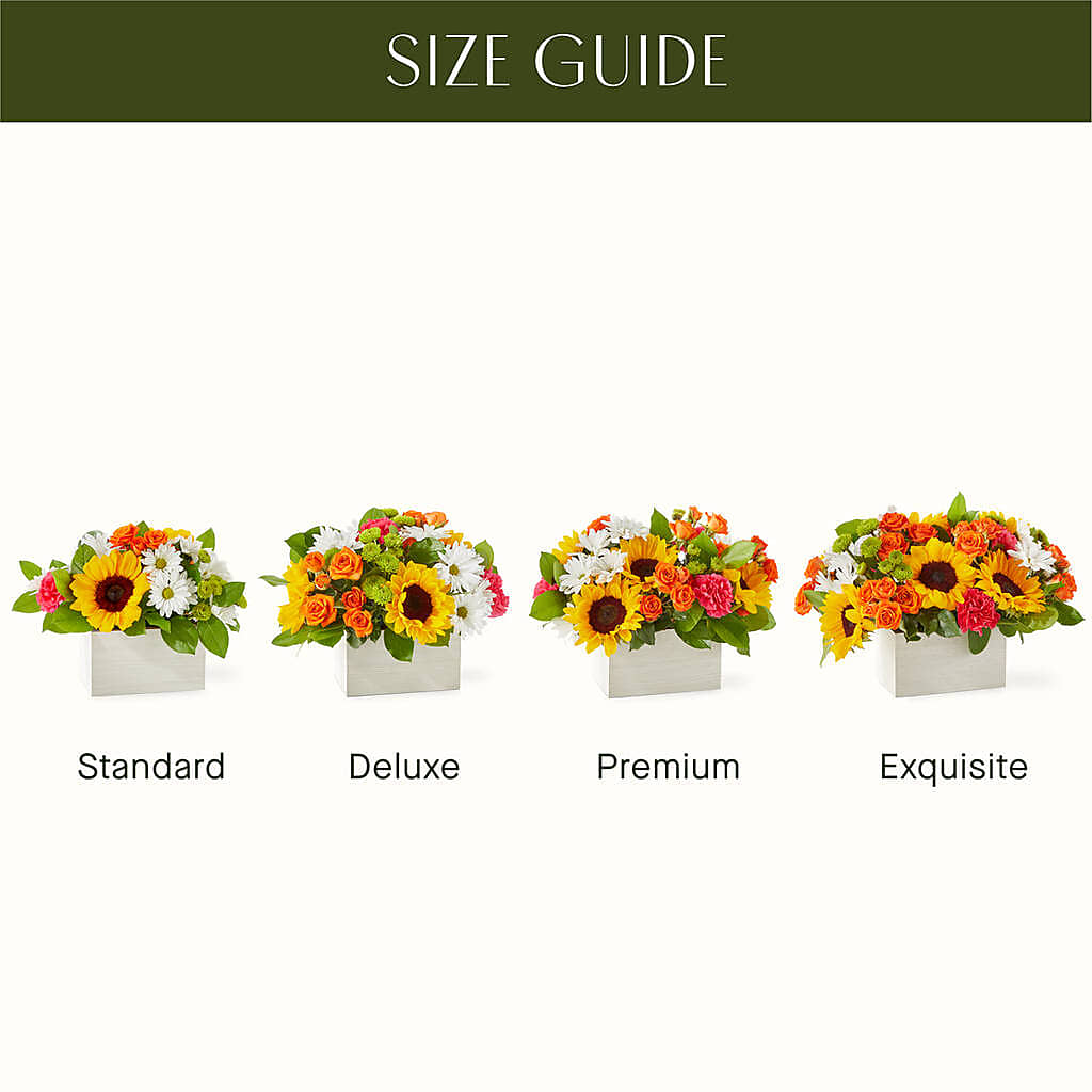 Sun-drenched Blooms Box Bouquet – TOWN CENTER FLORIST & GIFTS INC, Orlando FL
