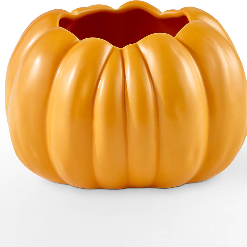 Golden Gourd Pumpkin Bouquet – TOWN CENTER FLORIST & GIFTS INC, Orlando FL