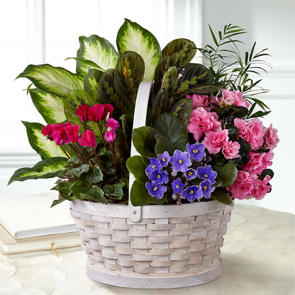 Peaceful Garden Planter – TOWN CENTER FLORIST & GIFTS INC, Orlando FL