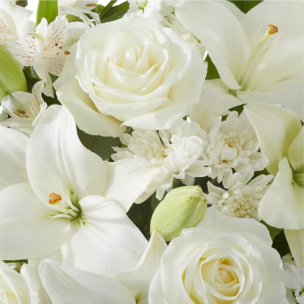 Peaceful Reflections Arrangement – TOWN CENTER FLORIST & GIFTS INC, Orlando FL