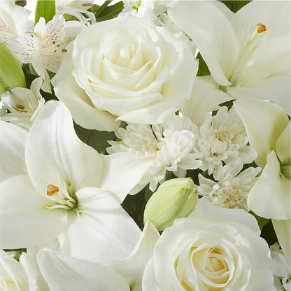 Peaceful Reflections Arrangement – TOWN CENTER FLORIST & GIFTS INC, Orlando FL