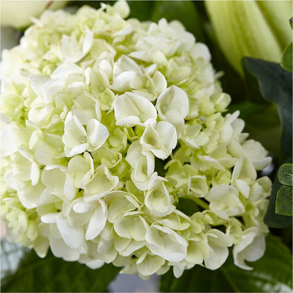 Classic Ivory – A Florist Original – TOWN CENTER FLORIST & GIFTS INC, Orlando FL