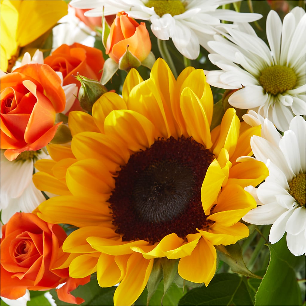 Sun-drenched Blooms Bouquet – TOWN CENTER FLORIST & GIFTS INC, Orlando FL
