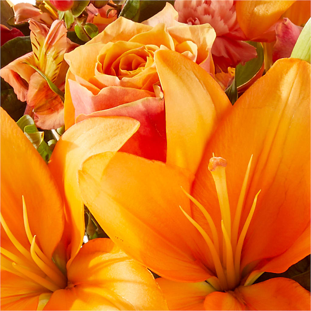 Afternoon Light Bouquet – TOWN CENTER FLORIST & GIFTS INC, Orlando FL