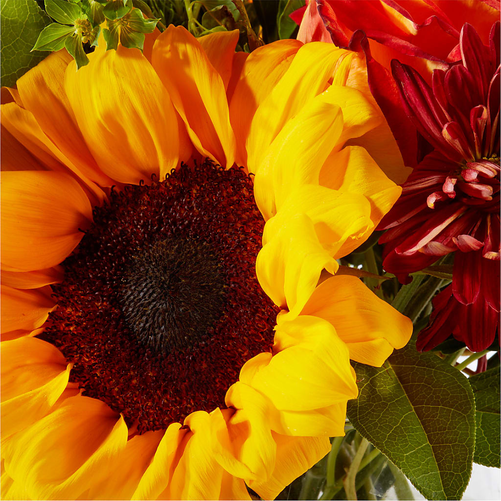 Harvest Festival Bouquet – TOWN CENTER FLORIST & GIFTS INC, Orlando FL