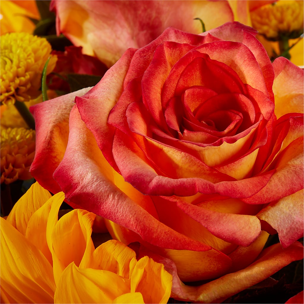 Picnic in the Park Bouquet – TOWN CENTER FLORIST & GIFTS INC, Orlando FL