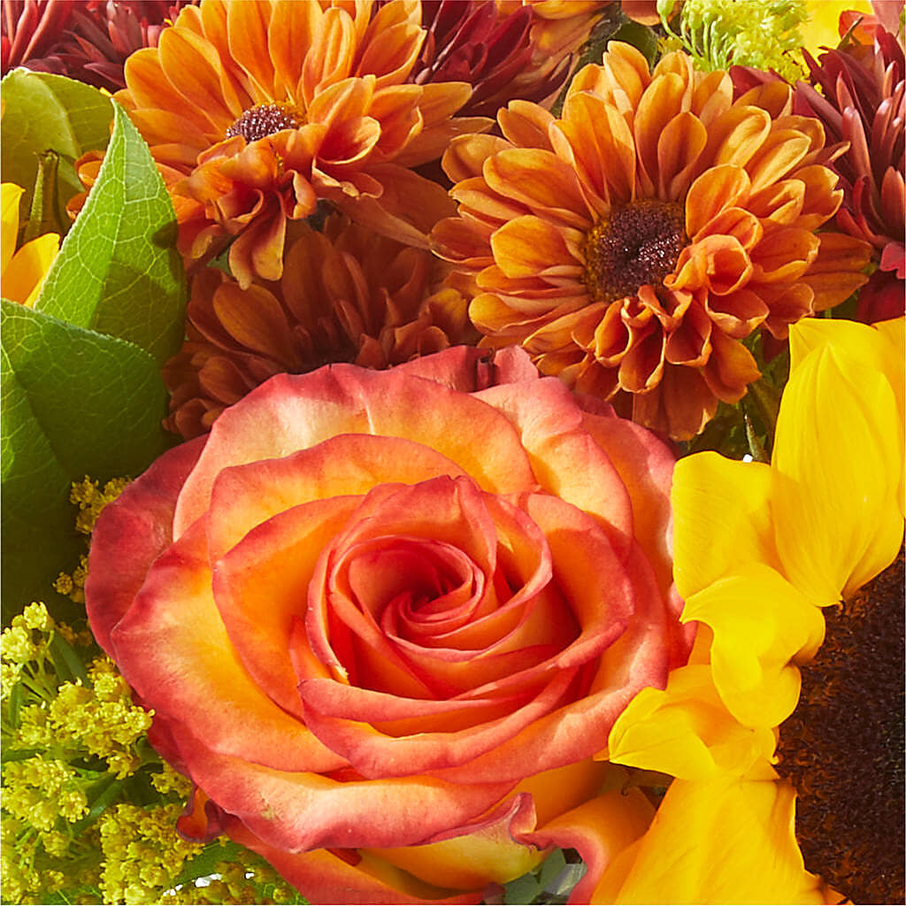 Flannel Scarf Bouquet – TOWN CENTER FLORIST & GIFTS INC, Orlando FL