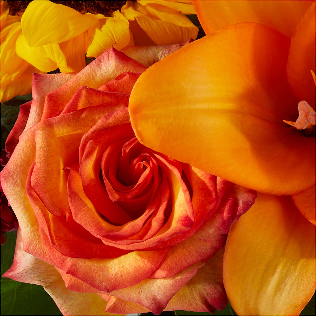 Grateful Centerpiece – TOWN CENTER FLORIST & GIFTS INC, Orlando FL