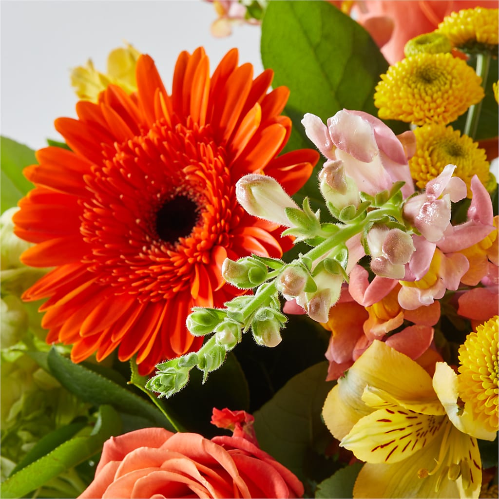 Autumn Sunshine Bouquet – TOWN CENTER FLORIST & GIFTS INC, Orlando FL