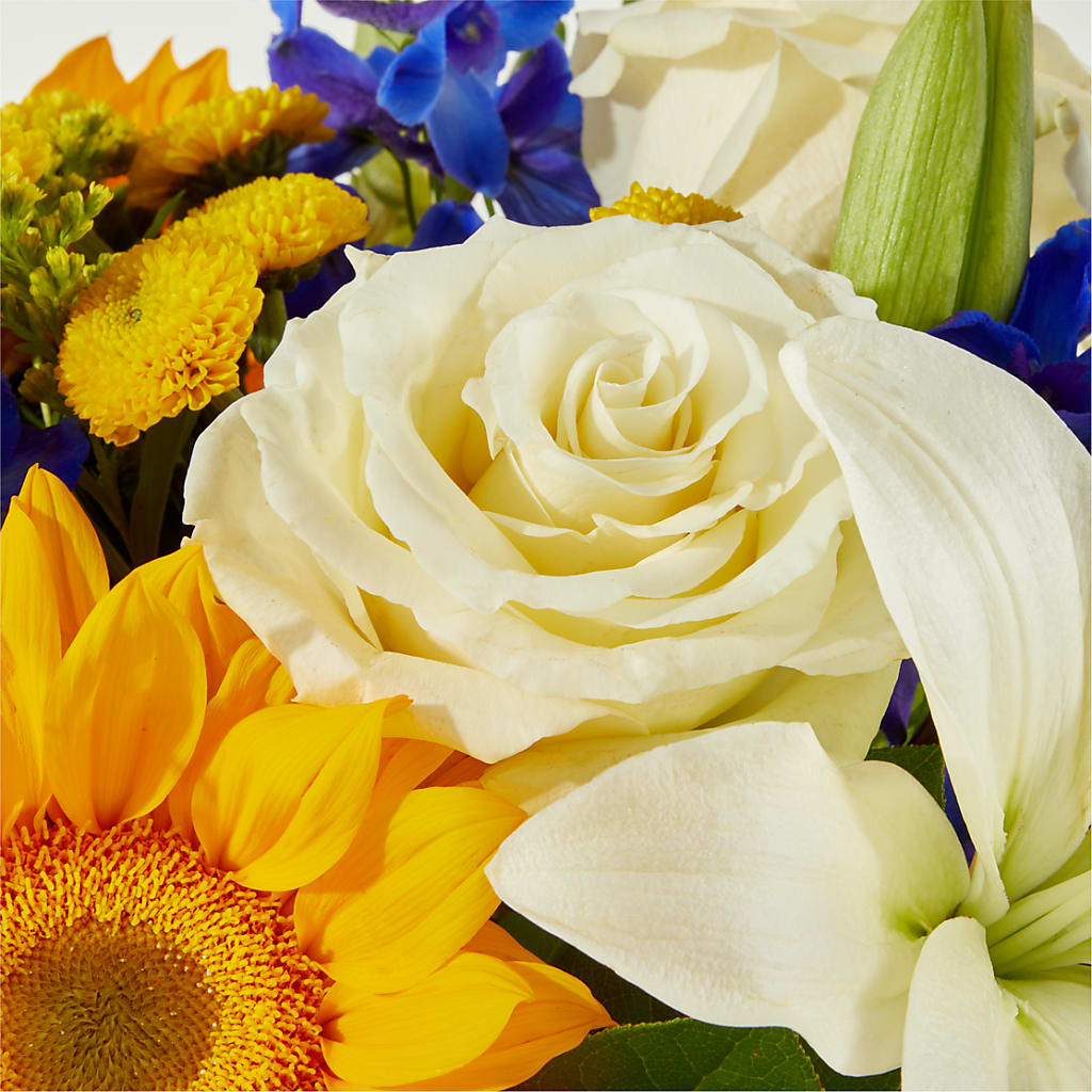 Stargazing Bouquet – TOWN CENTER FLORIST & GIFTS INC, Orlando FL