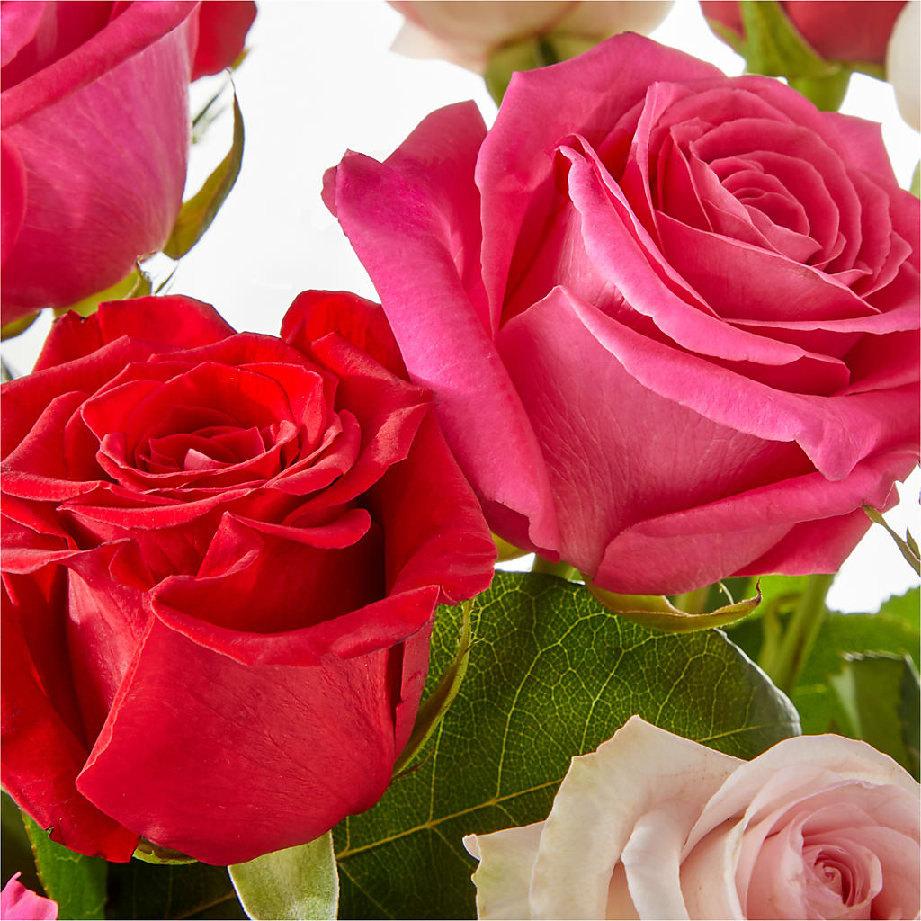 Charming Rose Bouquet – TOWN CENTER FLORIST & GIFTS INC, Orlando FL